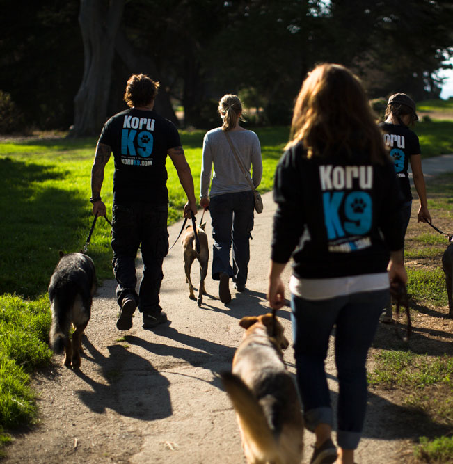 Trainers Wearing Koru K9 Sweatshirts With Leashed Dogs