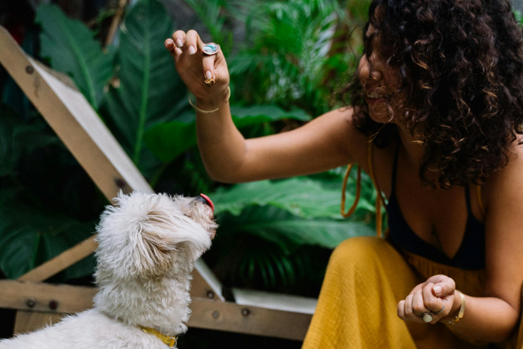 Curly-Haired Woman With Yellow Pants Offering A Treat To A White Dog